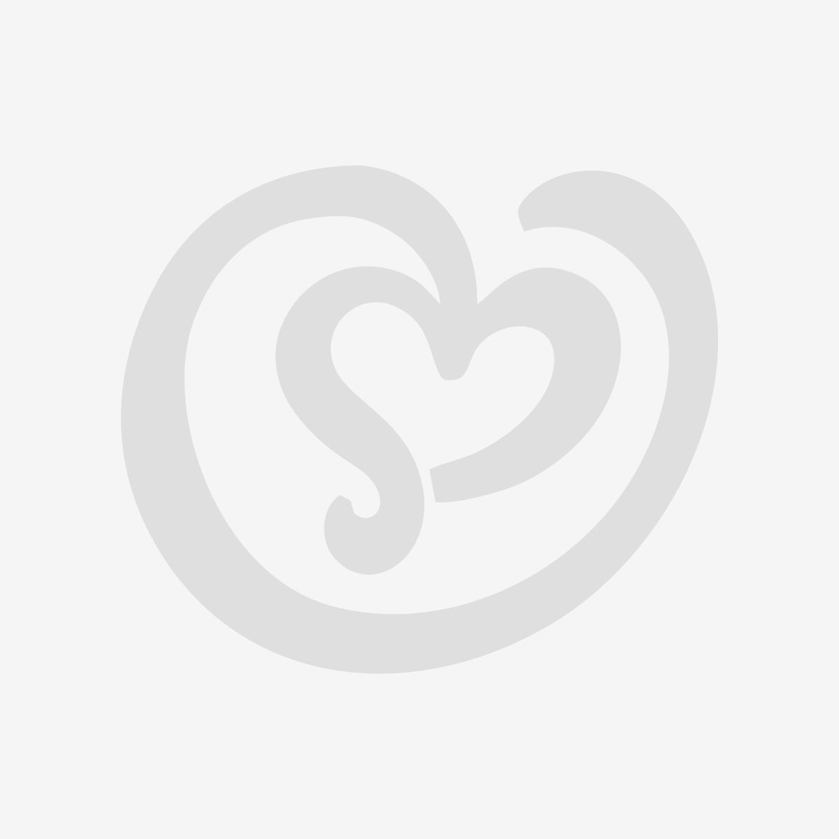 10 Philodendron Congo Green